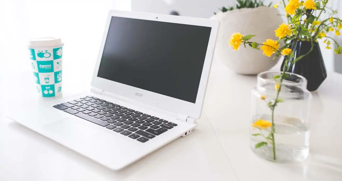 Ремонт ноутбуков Acer в Гатчине