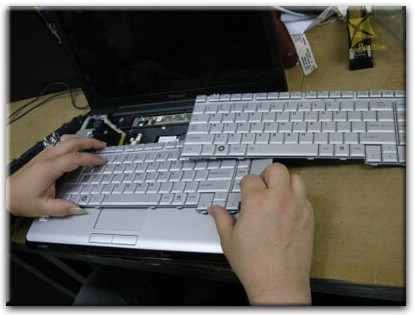 Ремонт клавиатуры на ноутбуке Toshiba в Гатчине