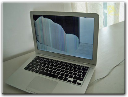 Замена матрицы Apple MacBook в Гатчине