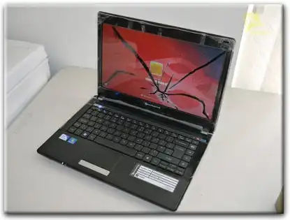 Замена матрицы Packard Bell в Гатчине